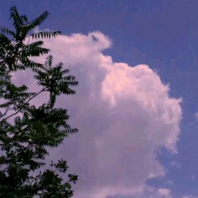 卧龙神途破解版下载