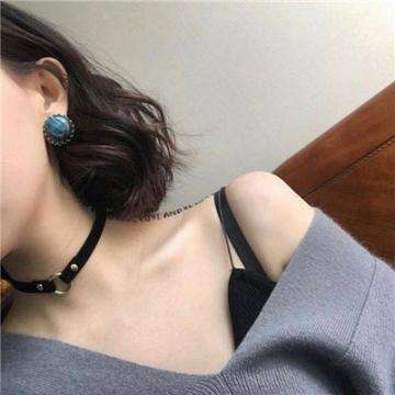 熊猫博士卡车队安卓破解版下载